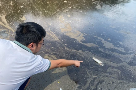 [Ảnh] Bất ngờ xuất hiện dầu thải kéo dài cả chục mét trên mặt hồ Linh Đàm