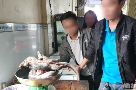 Các cá thể kỳ đà hoa được chào bán cho khách tại Đức Cơ, Gia Lai. (Ảnh: Sơn Bách)