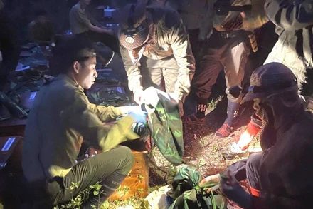 Tái thả 15 cá thể tê tê Java về tự nhiên. (Ảnh: Trung tâm Bảo tồn động vật hoang dã tại Việt Nam)