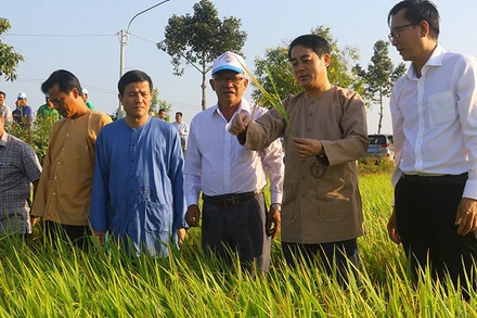 Bí thư Tỉnh ủy Hậu Giang Nghiêm Xuân Thành (người thứ 2 từ phải qua) thăm đồng đầu năm 