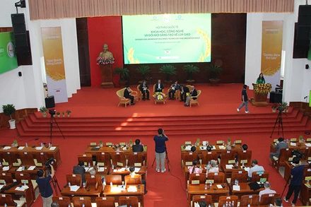 Phiên thảo luận tại Hội thảo.