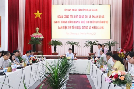 Quang cảnh buổi làm việc.