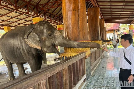 Khách du lịch quốc tế trải nghiệm dịch vụ du lịch tại Luang Prabang, Lào. Ảnh: Trịnh Dũng