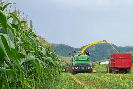 Trang trại nông nghiệp hữu cơ của Công ty Vinamilk tại tỉnh Xiengkhouang, Lào. (Ảnh: Hải Tiến)