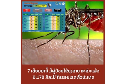 Biểu đồ ghi nhận số ca sốt xuất huyết tại Lào. (Ảnh: Trung tâm thông tin y tế thuộc Bộ Y tế Lào)