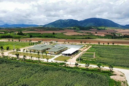 Bộ Công nghệ và Truyền thông Lào đánh giá việc sử dụng thiết bị bay không người lái sẽ góp phần phát triển ngành nông nghiệp của nước này. (Ảnh: Báo Pasaxon)