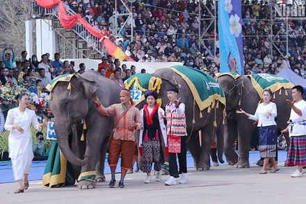 Lễ hội Voi tỉnh Xayaboury của Lào là một trong những lễ hội đặc sắc, thu hút đông đảo du khách. (Ảnh: Trịnh Dũng)
