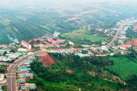 Thị trấn Đức An là địa phương có nhiều vi phạm nhất huyện Đắk Song với 425 trường hợp.