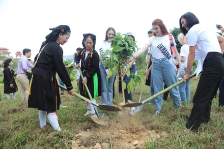 Thí sinh dự thi Hoa hậu Du lịch thế giới cùng nhau trồng cây.