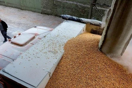 Xe tải chở ngũ cốc tại một cơ sở chế biến ở Chernihiv, Ukraine, ngày 24/5/2022. (Ảnh: Reuters)