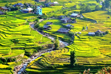 Phát triển du lịch cộng đồng ở Sa Pa