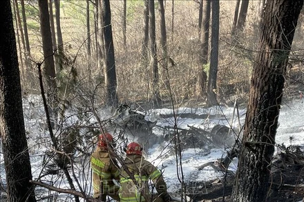 Lực lượng cứu hộ làm nhiệm vụ tại hiện trường vụ rơi trực thăng ở Yangyang, tỉnh Gangwon, Hàn Quốc, ngày 27/11/2022. (Ảnh: THX/TTXVN)