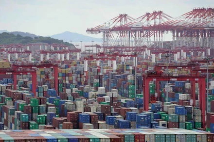 Cảng nước sâu Dương Sơn ở Thượng Hải, Trung Quốc năm 2020. (Ảnh: Reuters)