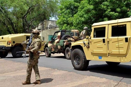 Binh sĩ của quân đội Mali. (Ảnh: Reuters)