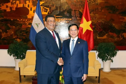 Phó Thủ tướng Chính phủ, Bộ trưởng Ngoại giao Bùi Thanh Sơn tiếp Bộ trưởng Ngoại giao Nicaragua Vandrack Jaenschke. (Ảnh: TTXVN)