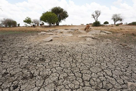 Một cánh đồng khô hạn tại Kenya. (Ảnh: Tân Hoa Xã)