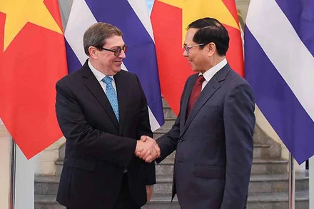 Phó Thủ tướng, Bộ trưởng Ngoại giao Bùi Thanh Sơn và Ủy viên Bộ Chính trị Đảng Cộng sản Cuba, Bộ trưởng Ngoại giao nước Cộng hòa Cuba Bruno Rodríguez Parrilla. (Ảnh: Bộ Ngoại giao Việt Nam)