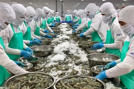 Tôm là một trong những mặt hàng thủy sản xuất khẩu quan trọng của Việt Nam sang Mỹ.
