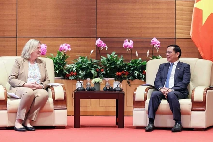 Phó Thủ tướng Chính phủ, Bộ trưởng Ngoại giao Bùi Thanh Sơn tiếp Quốc vụ khanh Bộ Ngoại giao Đan Mạch Lina Hansen. (Ảnh: VGP)