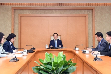 Phó Thủ tướng Chính phủ, Bộ trưởng Ngoại giao Bùi Thanh Sơn điện đàm với Bộ trưởng Ngoại giao Thổ Nhĩ Kỳ Hakan Fidan. (Ảnh: Bộ Ngoại giao Việt Nam)