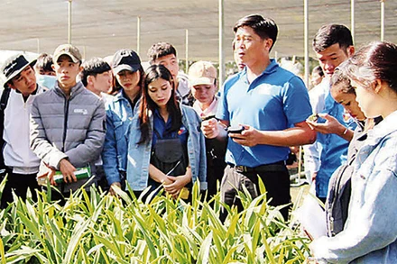 Thanh niên các dân tộc tỉnh Lâm Đồng tham gia chương trình giao lưu kết nối khởi nghiệp với doanh nghiệp địa phương.