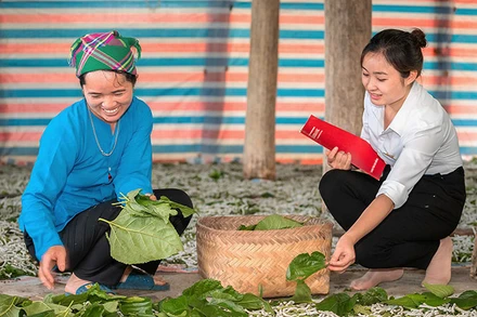 Nhân viên bảo hiểm Agribank tư vấn cho khách hàng.
