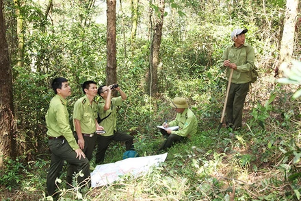Cán bộ Vườn quốc gia Tam Đảo kiểm tra xác định ranh giới diện tích chồng lấn.