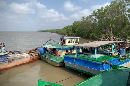 Các ghe hút cát trái phép bị lực lượng chức năng bắt giữ.