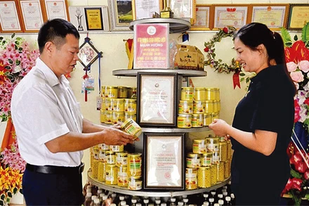 Đầu tư, chế biến sâu các sản phẩm từ dược liệu ở Hợp tác xã Mạnh Hương.