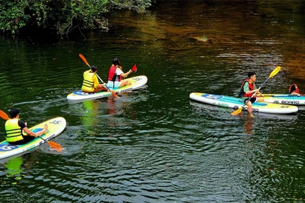 Du khách trải nghiệm chèo thuyền ở khu du lịch cộng đồng Kỳ Thượng, xã Kỳ Thượng, thành phố Hạ Long (tỉnh Quảng Ninh).