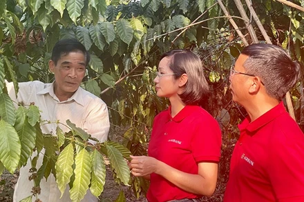 Ông Nguyễn Văn Thành (thôn Ngọc Thư, xã Đắk Xú, huyện Ngọc Hồi, tỉnh Kon Tum) vay vốn Agribank để phát triển kinh tế.