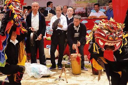 Múa sư tử Mèo được các nghệ nhân tham gia trình diễn tại lễ hội Háng Pò, Bình Gia (Lạng Sơn).