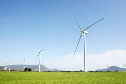 Điện gió Ninh Thuận. (Ảnh: VĂN GIANG)