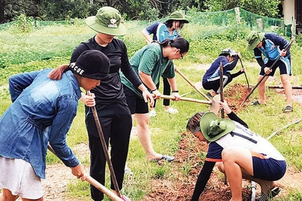 Làm đường dẫn nước.