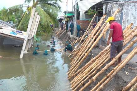 Hỗ trợ người dân di dời đồ đạc và khắc phục sạt lở ở kênh Đốc Phủ Hiền, ấp Phú Thuận, xã Tân Phú Đông, thành phố Sa Đéc, tỉnh Đồng Tháp.