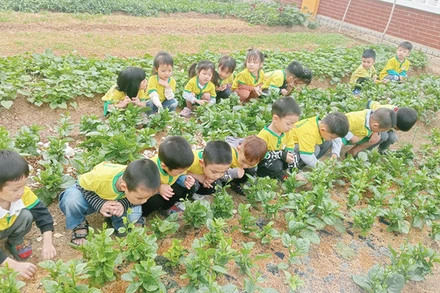 Một giờ học tại Trường mầm non Quang Châu (huyện Việt Yên, Bắc Giang). (Ảnh: ĐỨC GIANG)