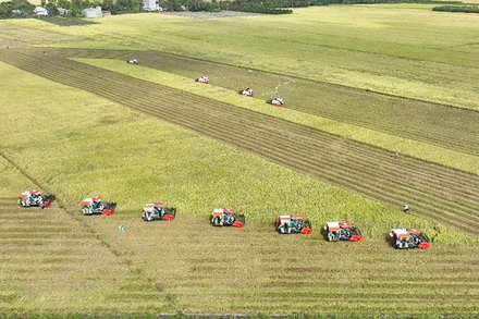 Cơ giới hóa sản xuất góp phần quan trọng nâng cao năng suất, chất lượng lúa gạo Việt Nam. (Ảnh: MINH HÀ)