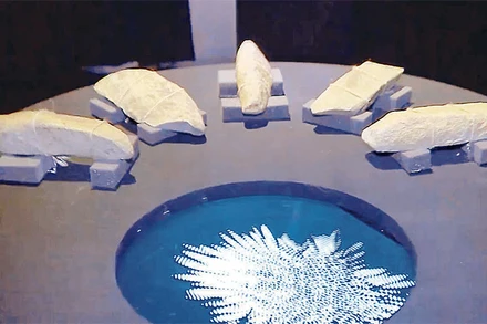 Bộ đàn đá Đắk Kar được nhóm nghệ sĩ người Pháp kết hợp với công nghệ tiên tiến được trưng bày tại Nhà Triển lãm âm thanh tỉnh Đắk Nông.