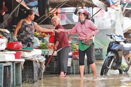 Tiểu thương chợ Hội An tranh thủ bán hàng sau cơn mưa.