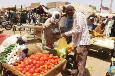 Sudan đang phải chật vật bảo đảm an ninh lương thực. (Ảnh: REUTERS)