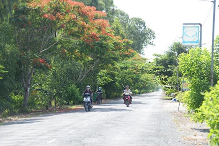Tuyến đường khang trang tại xã Thạnh Tân, huyện Tân Phước (Tiền Giang).