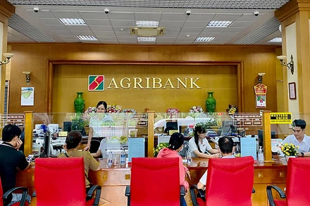Khách hàng giao dịch tại chi nhánh Ngân hàng Agribank.