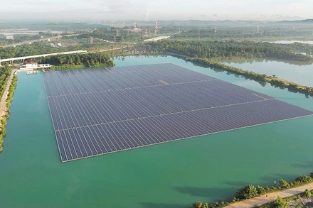 Các tấm pin năng lượng mặt trời tại Selangor, Malaysia. (Ảnh: AP)