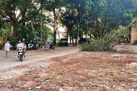 Nhiều vi phạm trong Công viên Tuổi trẻ Thủ đô được xử lý.