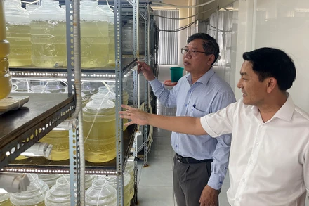 Lãnh đạo Sở Nông nghiệp và Phát triển nông thôn tỉnh Bình Thuận kiểm tra sản xuất tôm giống tại Công ty TNHH Ðầu tư thủy sản Nam Miền Trung.