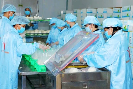 Ðóng gói dừa tươi xuất khẩu tại Công ty Vina T&T Group. (Ảnh MINH HÀ)