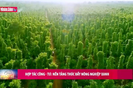 Hợp tác công-tư: Nền tảng thúc đẩy nông nghiệp xanh
