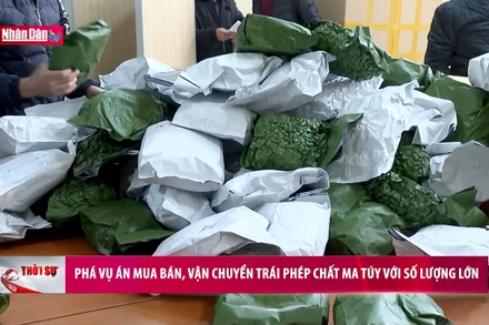 Phá vụ án mua bán, vận chuyển trái phép chất ma tuý với số lượng lớn