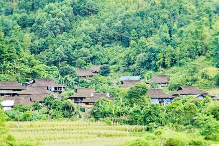 Những ngôi nhà sàn cổ của người Tày ở Bản Vèn, xã Kim Hỷ, huyện Na Rì, tỉnh Bắc Kạn.