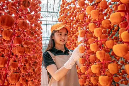 Nông sản từ các tỉnh vùng Tây Nguyên chủ yếu tiêu thụ tại Thành phố Hồ Chí Minh.